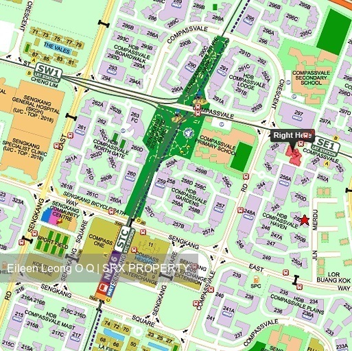 Blk 254 Compassvale Road (Sengkang), HDB 4 Rooms #172608622